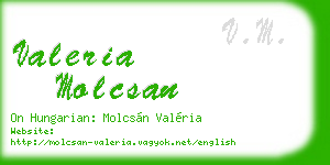 valeria molcsan business card