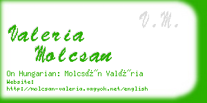 valeria molcsan business card